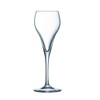 Brio Champagneglas 160 ml 6/box