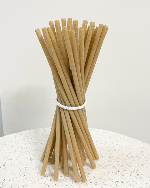EQUO Sugarcane Standaard Straws 6x200mm